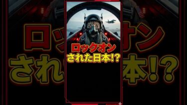 【レーダー照射】日本の猛抗議をトランプ大統領がまさかのスルー？米中の間で試される日本の外交力 #ニュース #猫 #国際政治 #国防 #トランプ