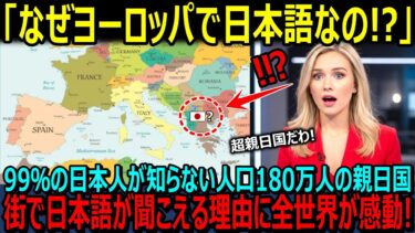 【海外の反応】「ヨーロッパなのに日本語が聞こえる国！」99％の日本人が知らない謎の親日国！日本語教室が毎回定員オーバーするほどの親日ぶりの理由に全世界が感動！【日本賞賛】