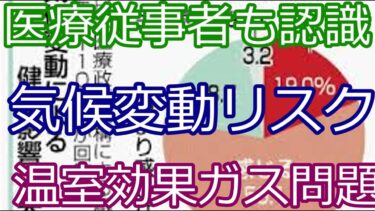 気候変動が医療現場に与える影響 ― 最新調査で明らかに