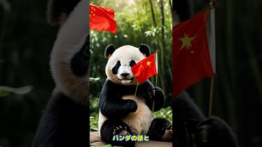 マクロン意味ない中国訪問！ #習近平 習近平 #世界情勢 #中国ニュース #国際ニュース #中国政治 #中国共産党 #国際ニュース #中国政治 #中国共産党