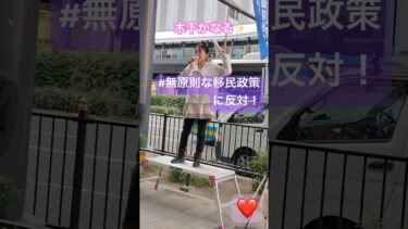 無原則な移民政策は反対🪧  反ワクチン！WHO脱退！デモ行進後の街頭演説