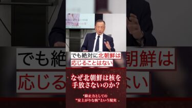 日本にも悪影響！！北朝鮮が核を手放さない、とんでもない事情