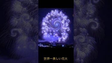 中国の世界一美しい花火 #ミーム #中国トレンド