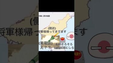 ごめんサボってた#ポーランドボール #北朝鮮 #日本 #ミサイル