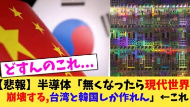 【悲報】半導体「無くなったら現代世界崩壊する,台湾と韓国しか作れん」←これ【2chまとめ】【2chスレ】【5chスレ】