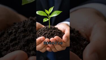 COP30の静かな主役—食料・土地システム #shorts #COP30 #気候変動 #食料システム #サステナビリティ