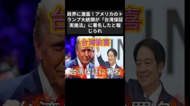 トランプ大統領が台湾支援を強化！日本への影響は？　#台湾保証実施法 #トランプ大統領 #台湾情勢 #ニュース