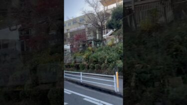 物価高対策と地球温暖化対策の連動