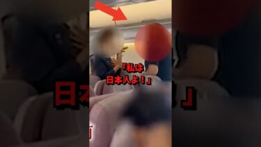 「私、日本人よ！」の正体#海外の反応 #海外 #shorts