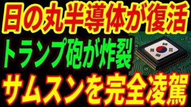【日の丸半導体】日本の半導体が大逆襲！韓国の半導体産業を追い越す理由とは・・・