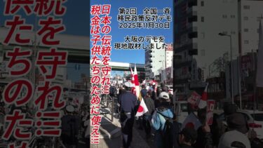 大阪の移民政策反対デモを現地取材しました！　税金は子供たちのために使え！日本の伝統を守れ！コール　大阪の正蓮寺川公園→梅田へ行進しました！　第2回　全国一斉　移民政策反対デモ　2025年11月30日