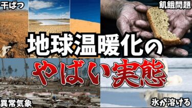 【ゆっくり解説】地球温暖化で起こるヤバいこと4選
