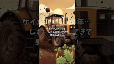 異常気象でも負けない畑は 土の中から作る！異常気象でも収量安定へ、地道な土づくりが農家の誇りですよね🚜皆さんの土壌改良の秘訣は何ですか？ #土壌改良