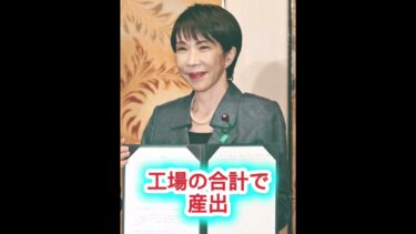 「速報⚡年収178万円の壁が崩れた！日本人の給料に何が起きる？」 #日本政治 #政治ニュース #日本ニュース #高市早苗 #日本の未来 #最新ニュース