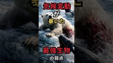 気候変動が暴いた“最強生物”の弱点＃shorts#動物雑学