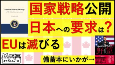12.6 国家安全保障戦略から見る、日本への要求/EUを猛烈批判