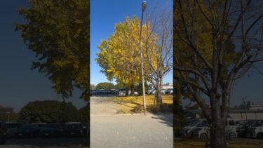 地球温暖化と人と自然