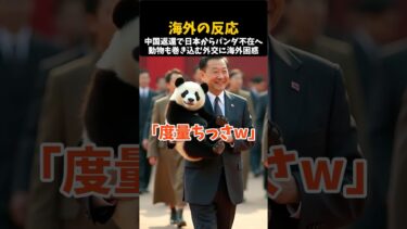 【海外の反応】日本のパンダ消滅に海外「政治に巻き込むな」