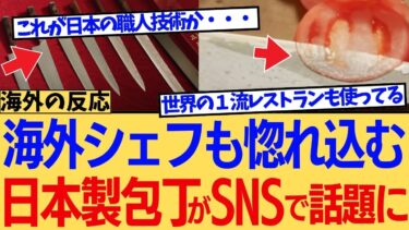 【海外の反応】これが日本の職人魂！もはや芸術品の域に達した日本製包丁に世界が熱狂し海外一流シェフが「人生が変わる」と語る、美しすぎる切れ味に対する海外ニキたちの反応集