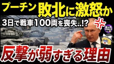 【ゆっくり解説】なぜアウディーイウカのロシア軍は3日で攻勢が弱まったのか