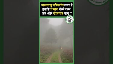 Climate Change problems in Farming | Solution and Employment for Rural Youth