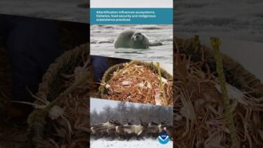 NOAA Arctic Report Card 2025 – peer-reviewed information on the current state