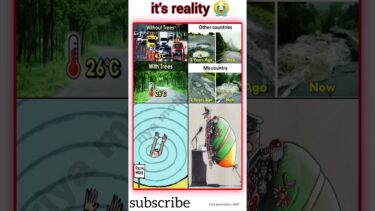 “The Reality Check: Climate, Infrastructure, Social Media, and Corrupt