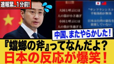 中国、墓穴を掘る！『蟷螂の斧』が日本を笑わせる