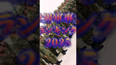 世界軍事力ランキング2025 militarypower