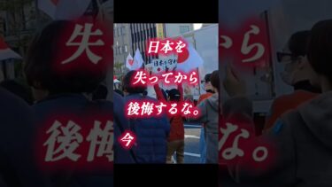 黙っていれば壊される！移民政策反対 in 大阪  来年1月24日開催　#移民政策反対 #移民 #デモ　#EXILE　#参政党　#日本保守党　#大阪 #京都