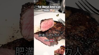 大量消費社会がアメリカを極度の肥満大国にした. American Eating Habits Cause Chronic Obesity.