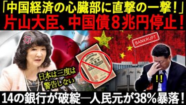「中国経済の心臓部に直撃の一撃！」片山大臣、中国債８兆円停止！14の銀行が破綻―人民元が38％暴落！