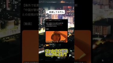 どんどん味方が減っていく　 #ニュース #日本政治 #日本 #海外の反応 #自民党 #衝撃の事実 #高市早苗 #経済 #小野田紀美 #twitter