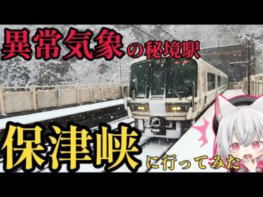 【※奇行】異常気象と聞いたので弾丸で保津峡に飛んでった