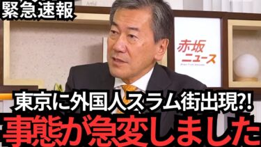 【山上真吾】恐ろしい情報が飛び込んできた…覚悟して聞いてください…【移民問題】