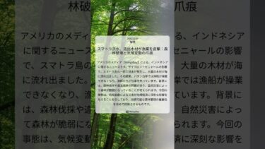 スマトラ洪水、流出木材が漁業を直撃：森林破壊と気候変動の爪痕｜Mongabay｜2025/12/20｜環境