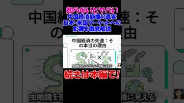 【12/18AM速報】中国不況は“世界の警戒信号”｜日本・米国マーケットへの影響も徹底解説 　#経済 #株価 #ニュース #shorts