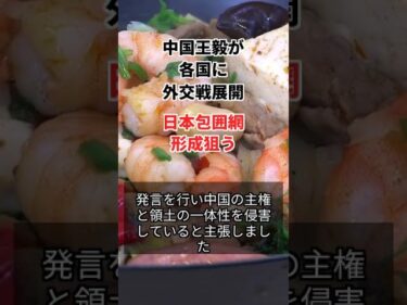 中国王毅が各国に外交戦展開、日本包囲網形成狙う