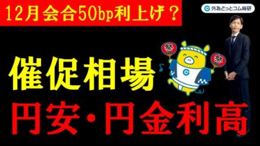 FX実践解説、円安・円金利高「日銀50bp利上げ催促相場へ」（2025年12月8日)