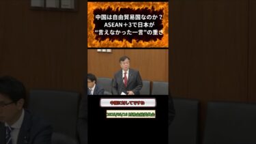 日本外交が口をつぐんだ瞬間…中国の“自由貿易”の矛盾が浮き彫りに