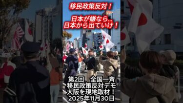 第2回　全国一斉　移民政策反対デモ　大阪のデモを現地で撮影しました！　移民政策反対！　日本が嫌なら日本から出ていけ！　2025年11月30日　Anti