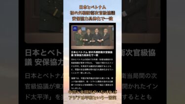 日本とベトナム初の外務防衛次官級協議 安保協力具体化で一致 #国際協力 #高市政権 #高市内閣 #高市首相 #高市早苗 #安全保障 #中国 #習近平 #北朝鮮