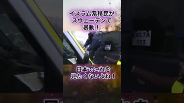 イスラム系移民がスウェーデンで暴動！#移民問題＃移民政策＃岩屋毅＃土葬問題理＃高市早苗　総裁＃高市早苗　首相＃高市　総理＃高市　総裁＃高市　首相＃高市早苗　政策