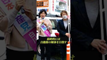共産党は本当に現実路線か？革命と暴力の歴史を忘れるな#共産党 #日本政治 #安全保障 #思想 #政治解説