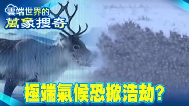 「怪物級」龍捲風橫掃美8州 「地磁失衡」極端氣候恐掀浩劫？！【57爆新聞 萬象搜奇】@57BreakingNews