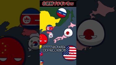 【超矛盾】北朝鮮「お前の核はダメ」　#ポーランドボール