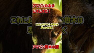 アマゾンの樹木が気候変動に挑む！ #ClimateChange #AmazonForest