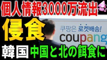 【完全崩壊】韓国が中国と北朝鮮の植民地になる瞬間｜個人情報も暗号資産も外に流れ続ける無防備国家の絶望的末路