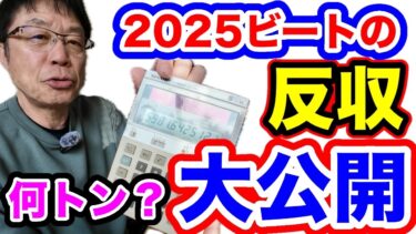 異常気象の2025年【ビートの反収大公開】