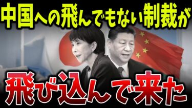 日本の対中110社制裁が世界に波紋…中国のレアアース封鎖と衝突し国際供給網が大混乱へ